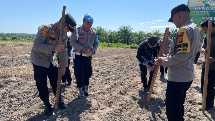 Polres Dumai melakukan penanaman jagung Kuartal IV untuk mendukung program nasional ketahanan pangan. Polres Dumai melakukan penanaman jagung Kuartal IV untuk mendukung program nasional ketahanan pangan. Penanaman jagung dilakukan di dua kelurahan di wilayah Kecamatan Bukit, Kapur, Kota Dumai, Kamis (30/10/2025).
