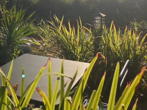 Red Coffee di Sidoarjo