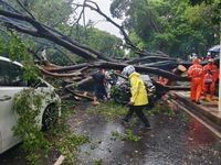 Resmi! Ini Jadwal Pemberangkatan, Puncak Ibadah Haji 2026, hingga Pemulangan Jemaah