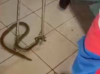 Kerabat Ungkap Momen Menegangkan Sahroni Sembunyi saat Rumah Dijarah