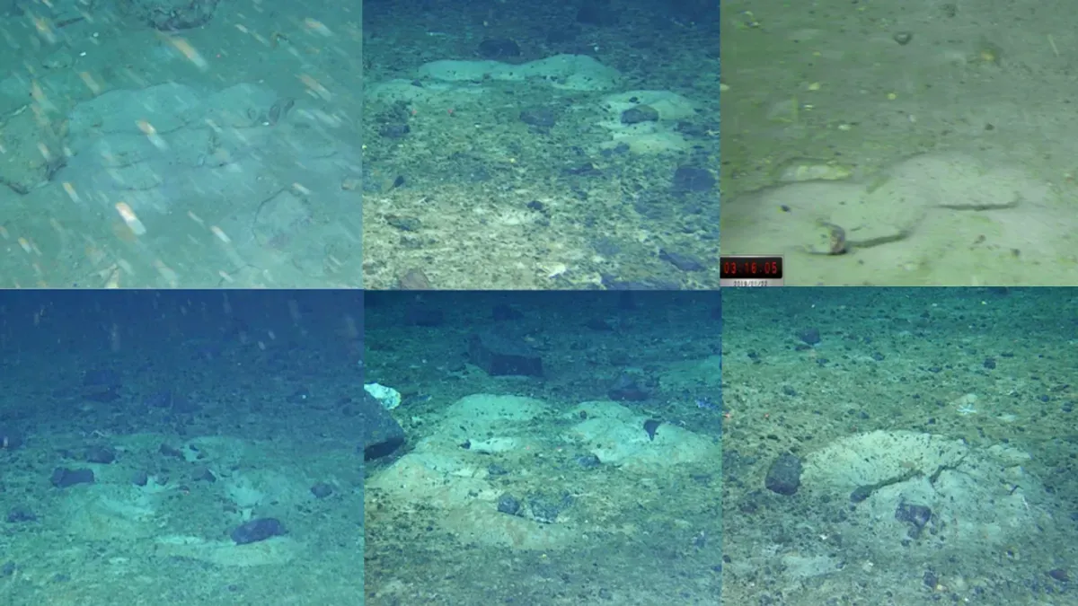 Temuan habitat ikan di balik es Antartika Temuan habitat ikan di balik es Antartika oleh Weddell Sea Expedition.