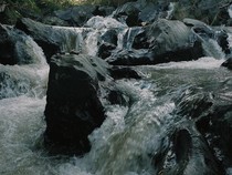 Coban Lanang Kota Batu, Air Terjun Eksotis Dekat Pusat Kota