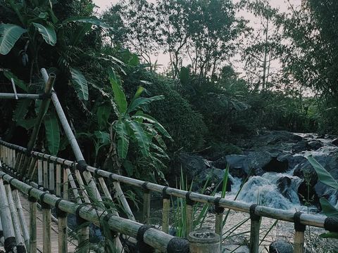 Wisata Coban Lanang di Kota Batu Wisata Coban Lanang di Kota Batu