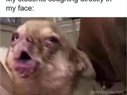 Aksi Random Murid yang Bikin Guru Geleng-geleng Kepala, Ada Aja Tingkahnya