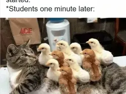 Aksi Random Murid yang Bikin Guru Geleng-geleng Kepala, Ada Aja Tingkahnya