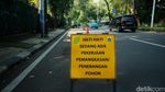 Cegah Pohon Tumbang, Petugas Pangkas Pohon Tua di Jakarta