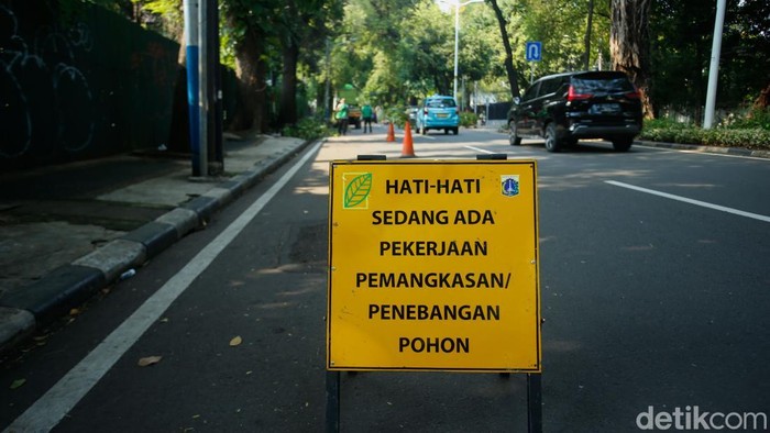 Petugas dari Dinas Kehutanan Provinsi DKI Jakarta melakukan pemangkasan terhadap pohon tua di Jalan Teuku Umar, Jakarta, Jumat (31/10/2025).