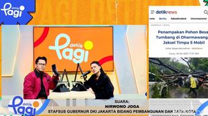 Video: Waspada Pohon Tumbang!