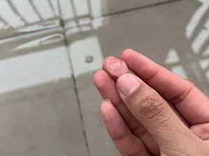 Hujan Es Hebohkan Warga Tangsel, Kucing Peliharaan Ikutan Kaget