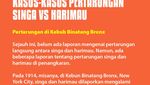Infografis: Singa Vs Harimau, Siapa yang Juara Jika Bertarung?
