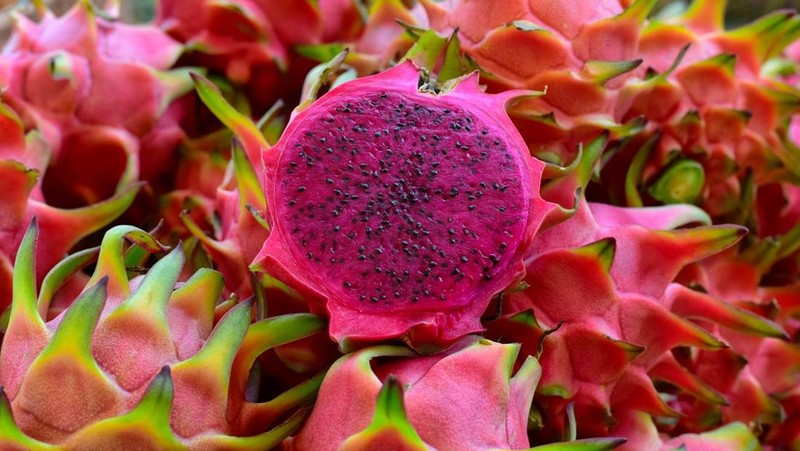 Manfaat Buah Naga untuk Kesehatan & Resep Bikin Dragon Fizz