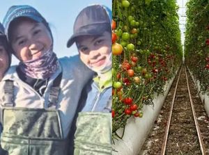Jadi Petani di Australia, Adik-Kakak Ini Raup Lebih dari Rp 54 Juta Sebulan!