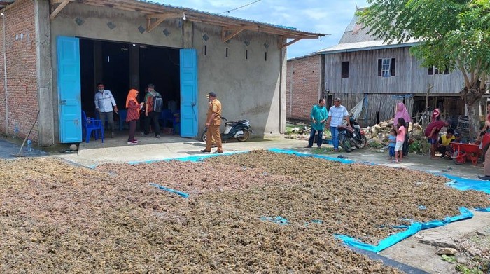 Kabupaten Takalar memiliki lahan budi daya rumput laut seluas lebih dari 3.000 hektare. Kabupaten Takalar memiliki lahan budi daya rumput laut seluas lebih dari 3.000 hektare.