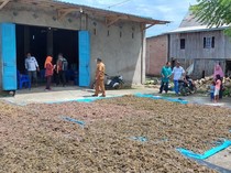 Luas Budi Daya Rumput Laut Takalar Capai 3.000 Hektare, Ini Sebarannya