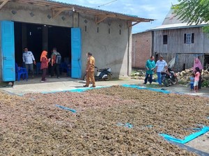 Luas Budi Daya Rumput Laut Takalar Capai 3.000 Hektare, Ini Sebarannya