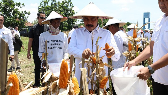 Kementerian Imigrasi Kementerian Imigrasi