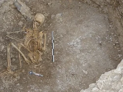 Kerangka Remaja 2.000 Tahun Ditemukan Tengkurap, Diduga Tumbal