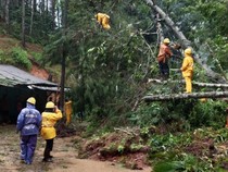 Longsor di Jalan Raya Garut-Pameungpeuk, Arus Lalin Terganggu