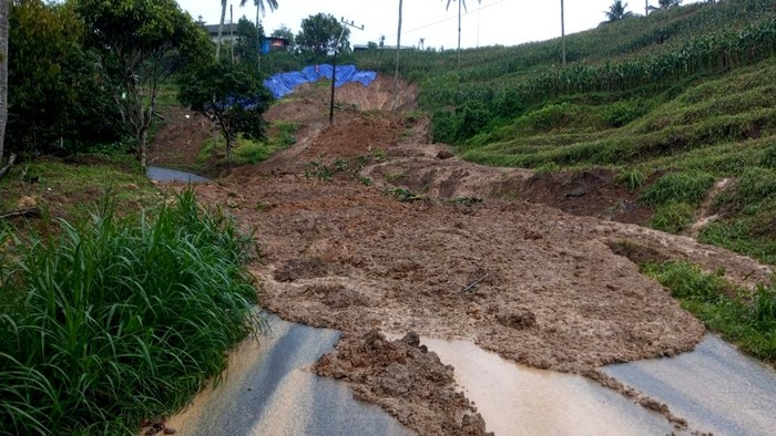 Longsor di Trenggalek Akses Tulungagung-Trenggalek via Pagerwojo diterjang longsor