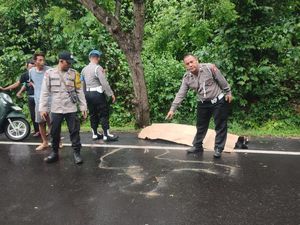 Pelajar Tewas Terlindas Truk Boks di Jalan Denpasar-Gilimanuk