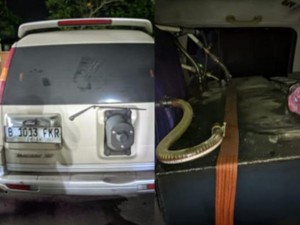 Mobil Modifikasi Angkut Solar Subsidi Terungkap di Bogor, 1 Orang Ditangkap