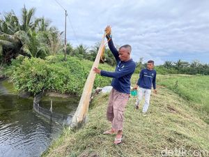 Gampong Berdikari: Tambak Mati yang Kini Jadi Sumber Harapan Baru