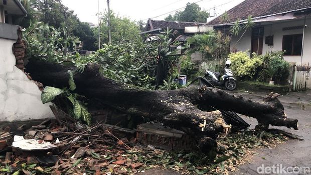 Penampakan kerusakan rumah akibat hujan angin di Singosaren, Pekuncen, Kota Jogja, Jumat (31/10) sore.