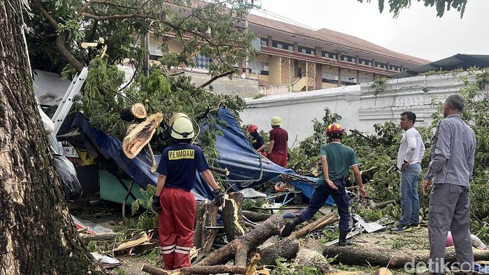 Pohon tumbang di dekat Masjid Agung Solo tumbang mengenai warung dan sejumlah kendaraan roa dua, Jumat (31/10/2025). Pohon tumbang di dekat Masjid Agung Solo tumbang mengenai warung dan sejumlah kendaraan roa dua, Jumat (31/10/2025).