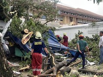 Pohon Trembesi di Masjid Agung Solo Tumbang, Timpa Warung-6 Motor