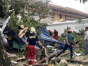 Pohon Trembesi di Masjid Agung Solo Tumbang, Timpa Warung-6 Motor