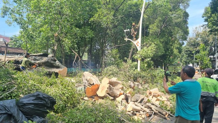 Pohon tumbang di Dharmawangsa, Jaksel, tewaskan 1 orang (Taufiq/detikcom) Pohon tumbang di Dharmawangsa, Jaksel, tewaskan 1 orang (Taufiq/detikcom)