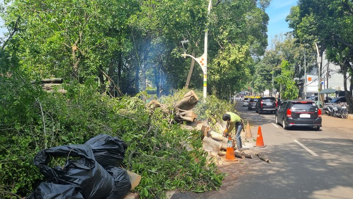 Pohon tumbang di Dharmawangsa, Jaksel, tewaskan 1 orang (Taufiq/detikcom) Pohon tumbang di Dharmawangsa, Jaksel, tewaskan 1 orang (Taufiq/detikcom)