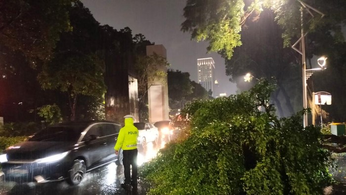 Pohon tumbang di seberang pintu 11 GBK arena Pohon tumbang di seberang pintu 11 GBK arena