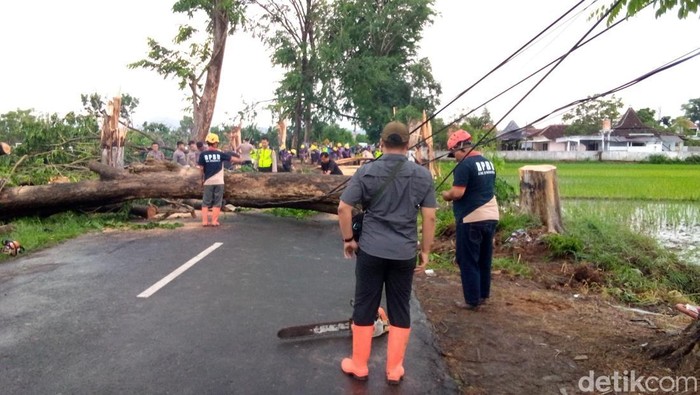 Pohon tumbang menutup jalan di Kabupaten Sukoharjo, Jumat (31/10/2025) Pohon tumbang menutup jalan di Kabupaten Sukoharjo, Jumat (31/10/2025)