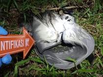 Warga Lampung Selatan Temukan Jasad Bayi dalam Tas Gendong