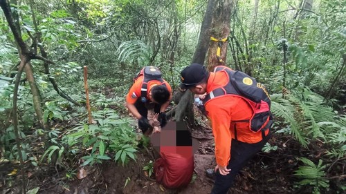 Proses evakuasi empat pendaki kelelahan di Gunung Batukaru, Jumat (31/10/2025). (Istimewa)