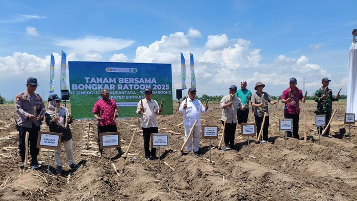 SGN-Kementan Tanam Perdana Tebu Unggul Dukung Swasembada Gula