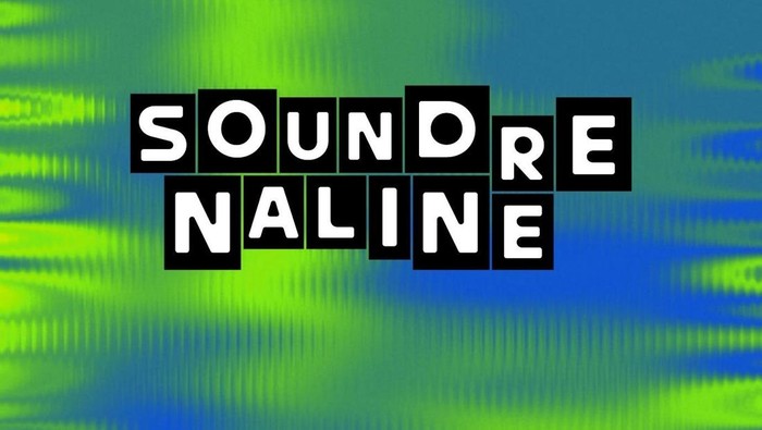 Soundrenaline 2025 Hadir di Lima Kota, Ini Daftar Musisi yang Manggung di Soundrenaline 2025
