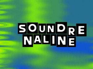 Model Soundrenaline 2025 Bikin Kurator Fuji Rock Angkat Topi