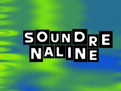 Hadir di Lima Kota, Ini Daftar Musisi yang Manggung di Soundrenaline 2025 Hadir di Lima Kota, Ini Daftar Musisi yang Manggung di Soundrenaline 2025