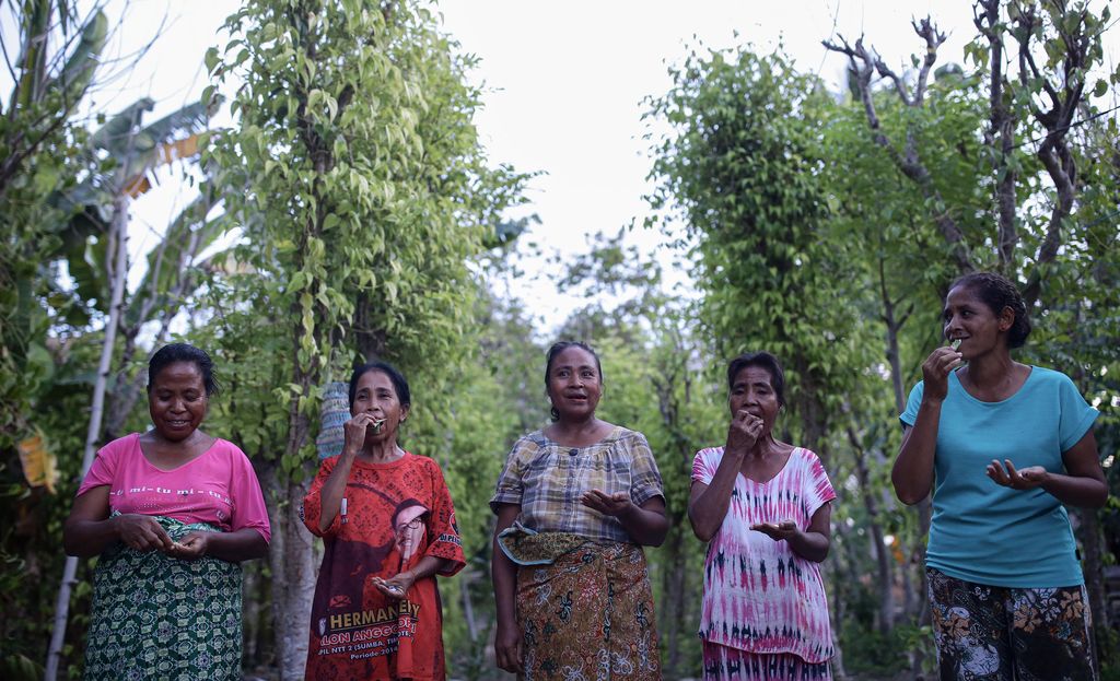 Tradisi Nginang. Tradisi Nginang. (Dok. Detikcom/Grandyos Zafna)