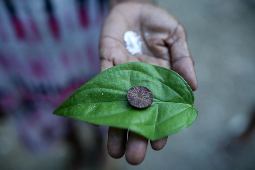 Tradisi Nginang. Tradisi Nginang. (Dok. Detikcom/Grandyos Zafna)