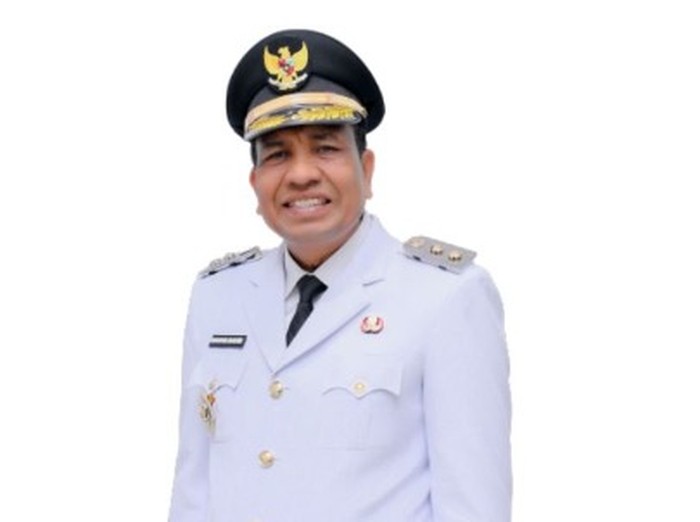Wakil Bupati Pidie Jaya, Hasan Basri Wakil Bupati Pidie Jaya, Hasan Basri