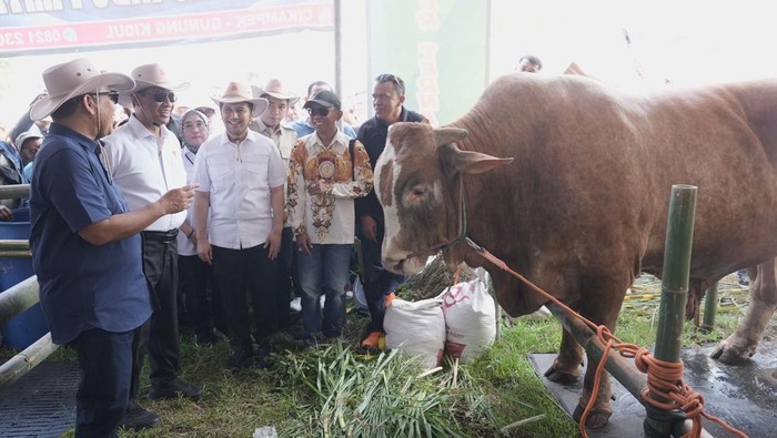 Ahmad Muzani di acara Festival APPSI