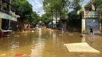 Banjir juga telah menyebabkan 11 orang hilang, menenggelamkan lebih dari 116.000 rumah dan 5.000 hektar tanaman, serta merusak jalan dan rel kereta, sehingga memutus akses transportasi dan listrik di beberapa wilayah, kata laporan badan penanggulangan bencana pemerintah.Foto: REUTERS/Thinh Nguyen