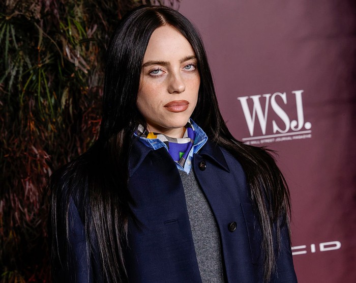 NEW YORK, NEW YORK - OCTOBER 29: Billie Eilish attends the WSJ. Magazine 2025 Innovator Awards at MoMA on October 29, 2025 in New York City.  (Photo by Taylor Hill/Getty Images)