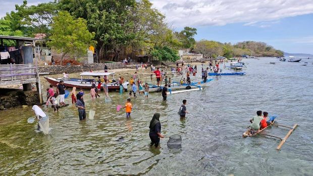 Fenomena laut yang tak biasa terjadi di perairan Selat Mulut Kumbang, Alor Kecil, Nusa Tenggara Timur. Dalam waktu kurang dari satu jam, suhu air laut di kawasan tropis itu mendadak anjlok dari 28°C menjadi hanya 12°C, penurunan ekstrem yang belum pernah tercatat sebelumnya di dunia.
