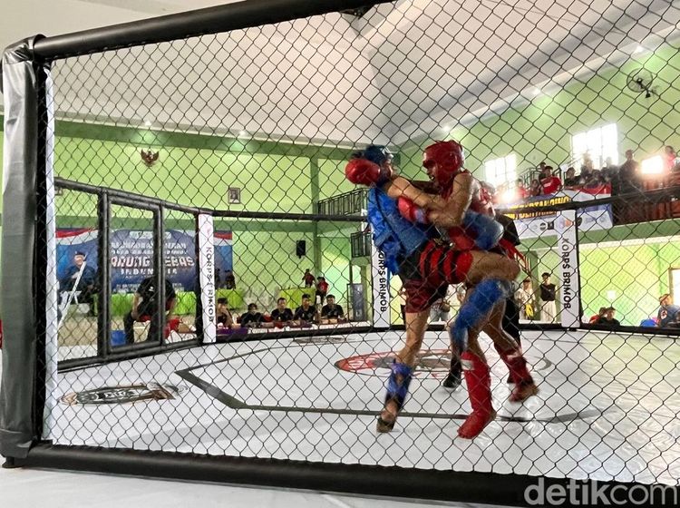 Cegah Tarung Liar, Brimob Gelar Kejurda Tarung Bebas Pertama di Banyuwangi