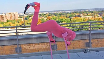 Kostum Flamingo di 2013 Josh memanfaatkan kruknya untuk membentuk siluet flamingo yang berdiri di satu kaki, menghasilkan ilusi sempurna yang sekaligus menggoda dan memukau. Foto: instagram.com/joshsundquist