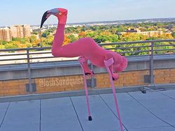 Kreatif! Raja Kostum Halloween Satu Kaki Ini Bikin Dunia Kagum!